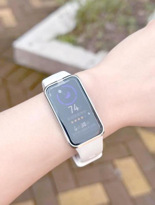 华为手环10 NFC版 铝合 表壳向新