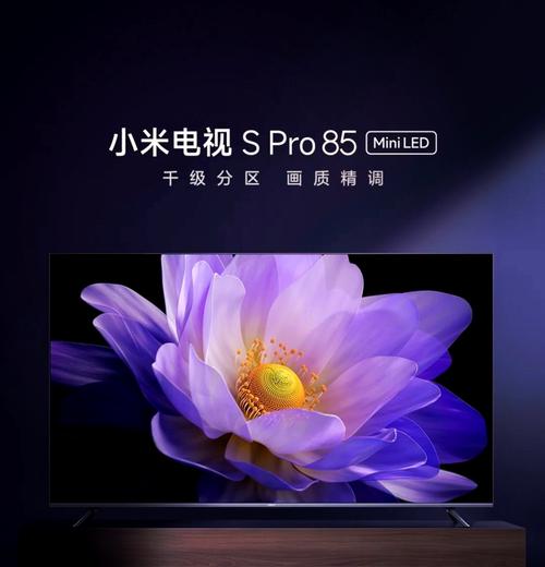 小米电视 S Pro 65 Mini LED 65英寸 枪