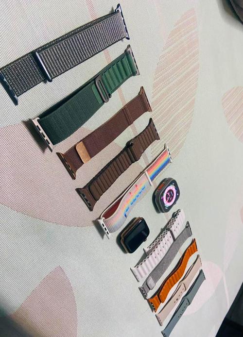 25款苹果手表Ultra3 49+高山回环式表带 L